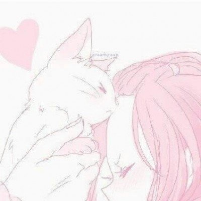小猫头鹰意外进家 大哥当起临时保姆